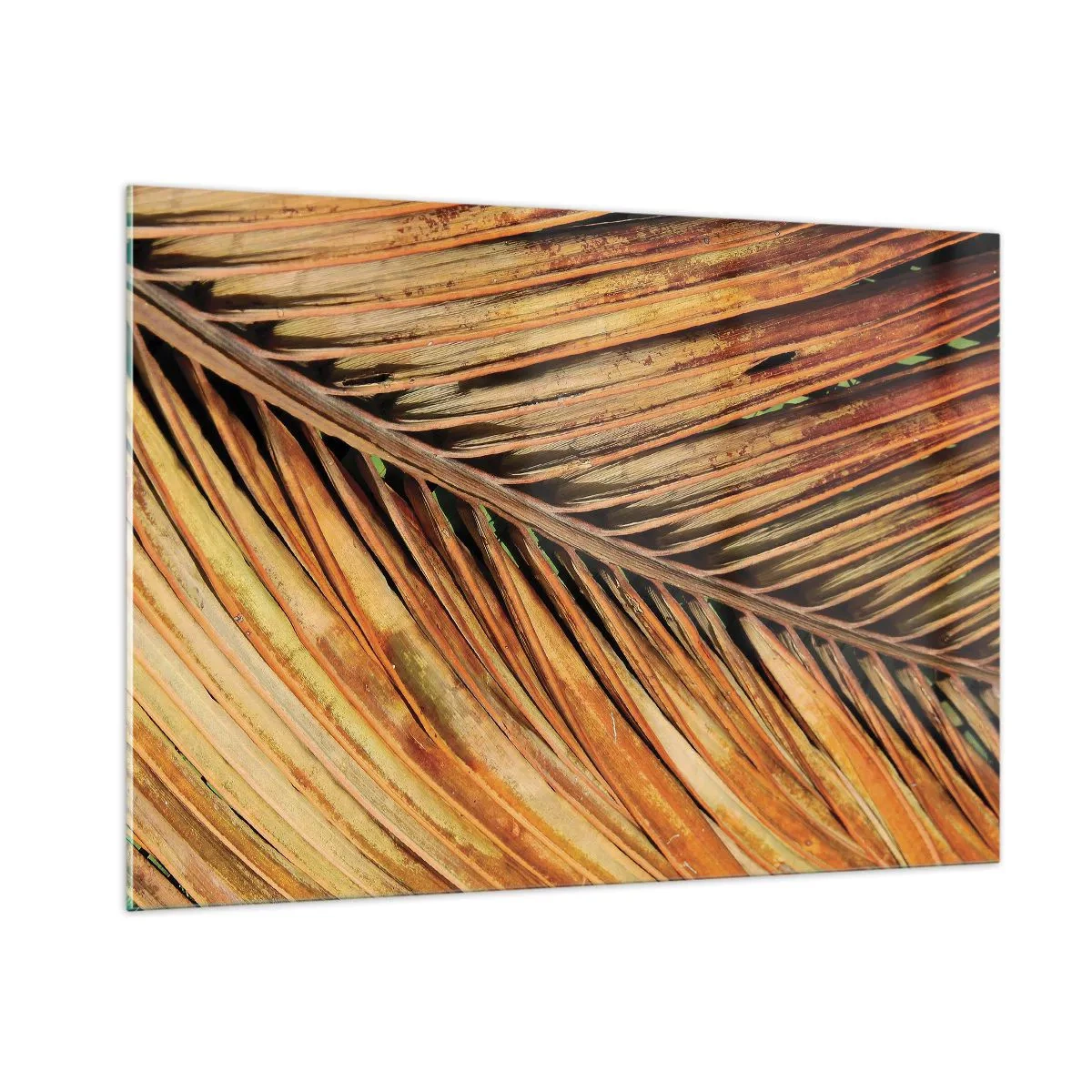 Glastavla - Bild på glas - Kokosguld - 100x70 cm