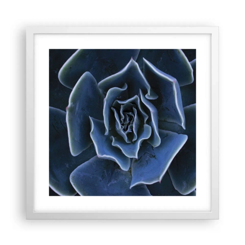 Affisch i vit ram - Öknens blomma - 40x40 cm