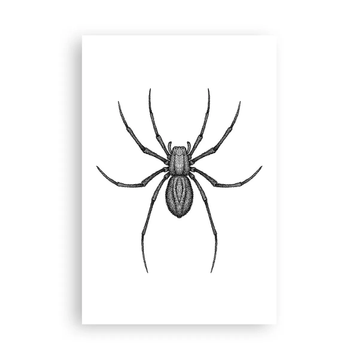 Affisch - Oroväckande precision - 61x91 cm