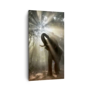 Canvastavla - Bild på duk - Under en lycklig stjärna - 45x80 cm