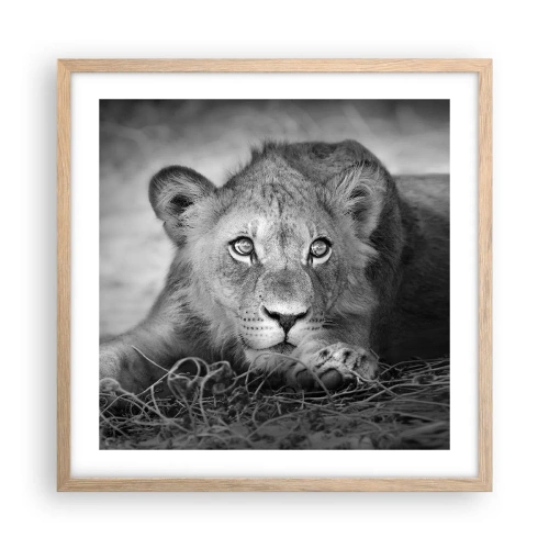 Affisch i ram av ljusek - Kunglig valp - 50x50 cm