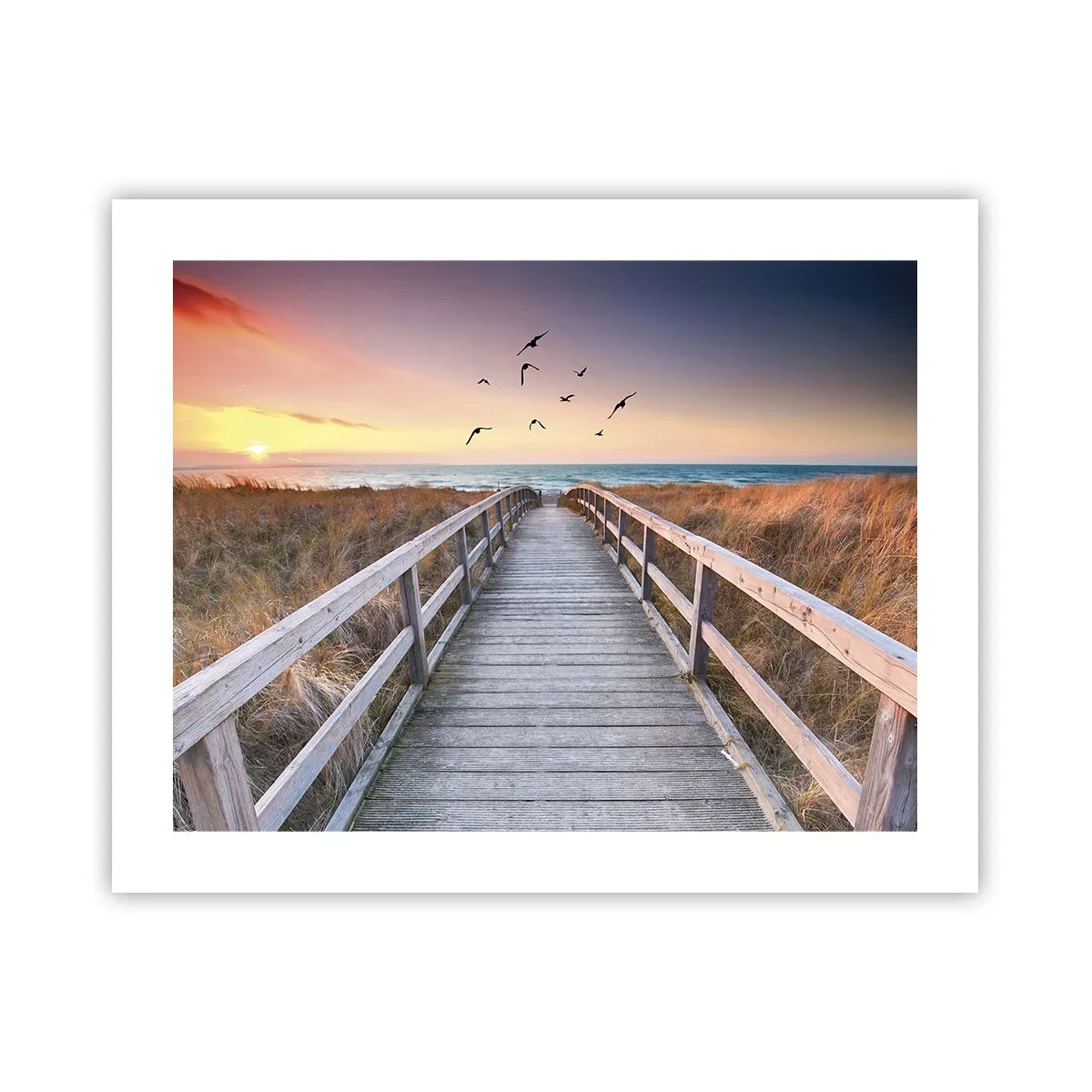 Affisch - Startbana - 50x40 cm