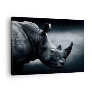 Canvastavla - Bild på duk - Svartvitt porträtt av en noshörning mot en mörk bakgrund - 70x50cm - Höger profil - Modern väggdekoration för vardagsrum och sovrum ARTTOR