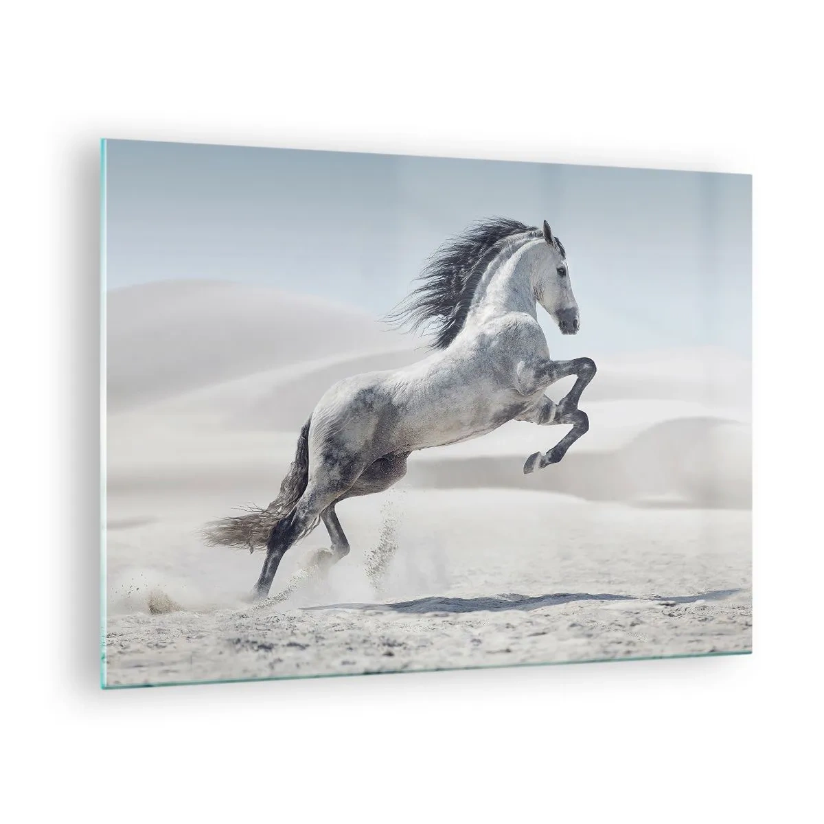 Glastavla - Bild på glas - En vit häst som hoppar mot bakgrund av ökendyner - 70x50cm - Arabisk prins - Modern väggdekoration för vardagsrum och sovrum ARTTOR