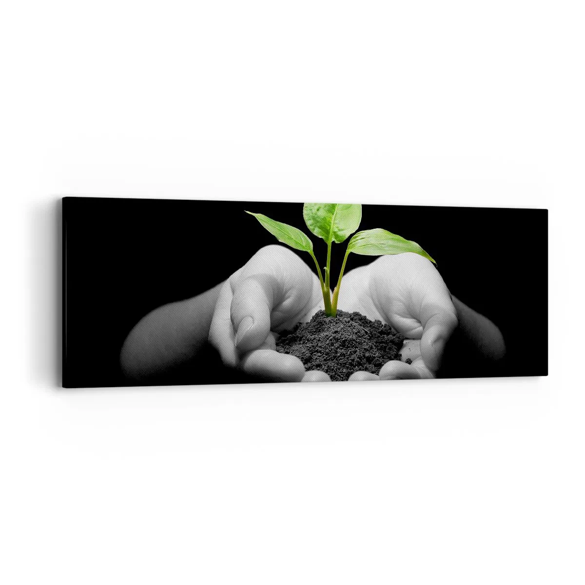 Canvastavla - Bild på duk - Jag älskar naturen och skyddar den - 90x30 cm