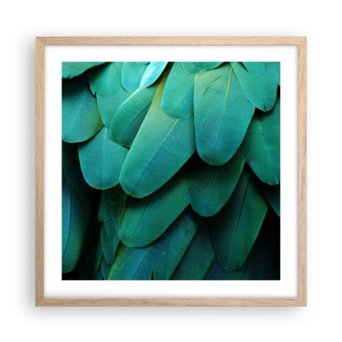 Affisch i ram av ljusek - Precision av papegojans natur - 50x50 cm