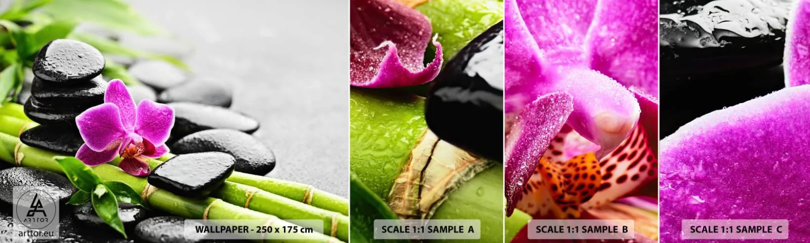 Fototapet Prov Standard Eco - Lugn balans - Blommor, Orkide, Orkide - 100x30 cm