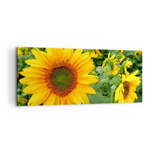 Canvastavla - Bild på duk - Hundratals brinnande solar - 100x40 cm