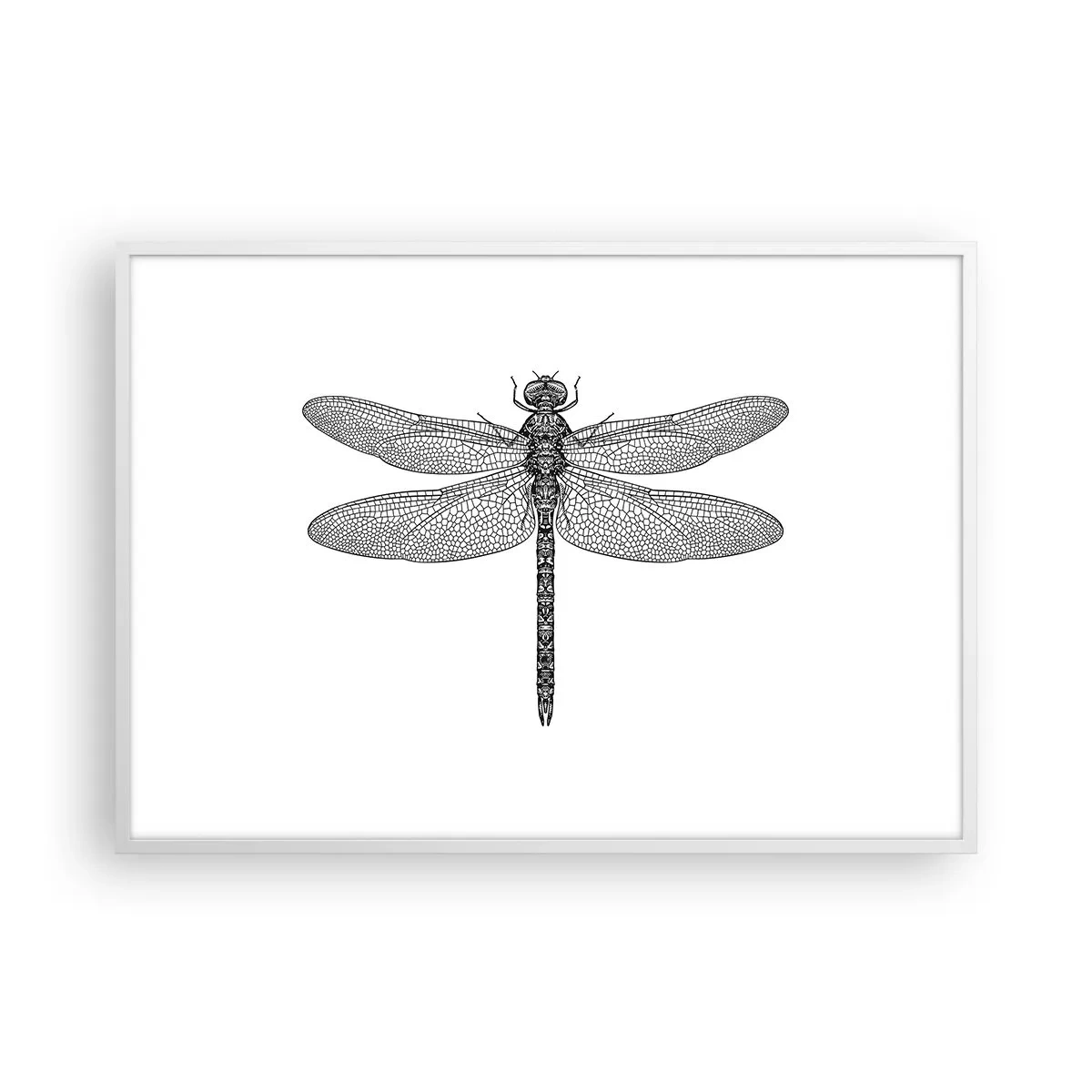 Affisch i vit ram - Precision i naturen - 100x70 cm