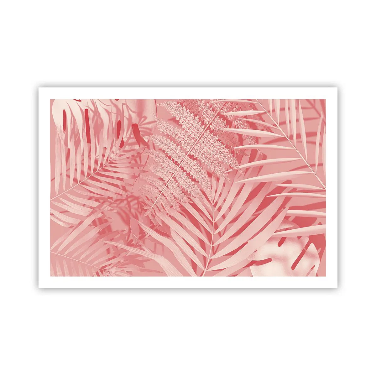 Affisch - Rosa koncept - 91x61 cm