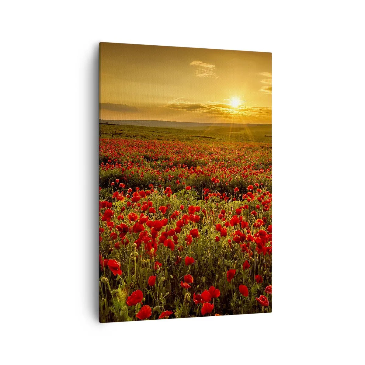 Canvastavla - Bild på duk - Bland brusande ängars vågor, bland blommornas flod - 70x100 cm