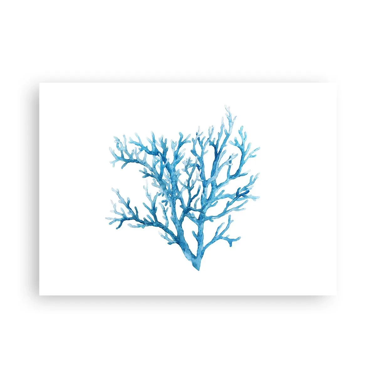 Affisch - Marin filigran - 70x50 cm