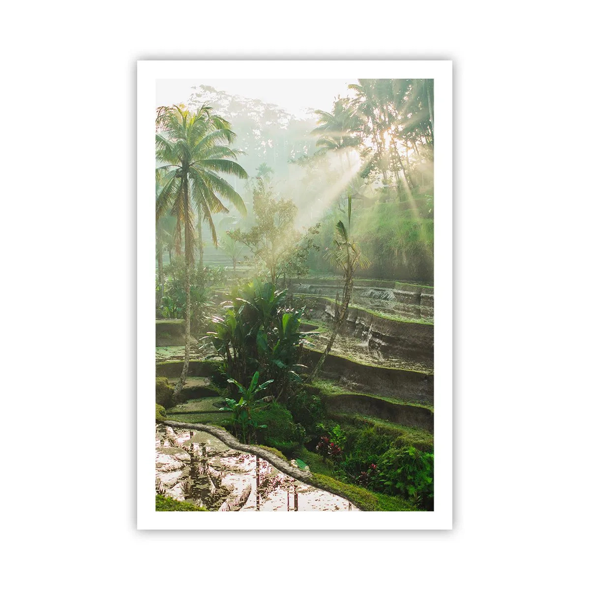 Affisch - Växa upp i solsken - 61x91 cm