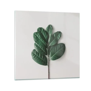 Glastavla - Bild på glas - Själva naturens bild - 50x50 cm