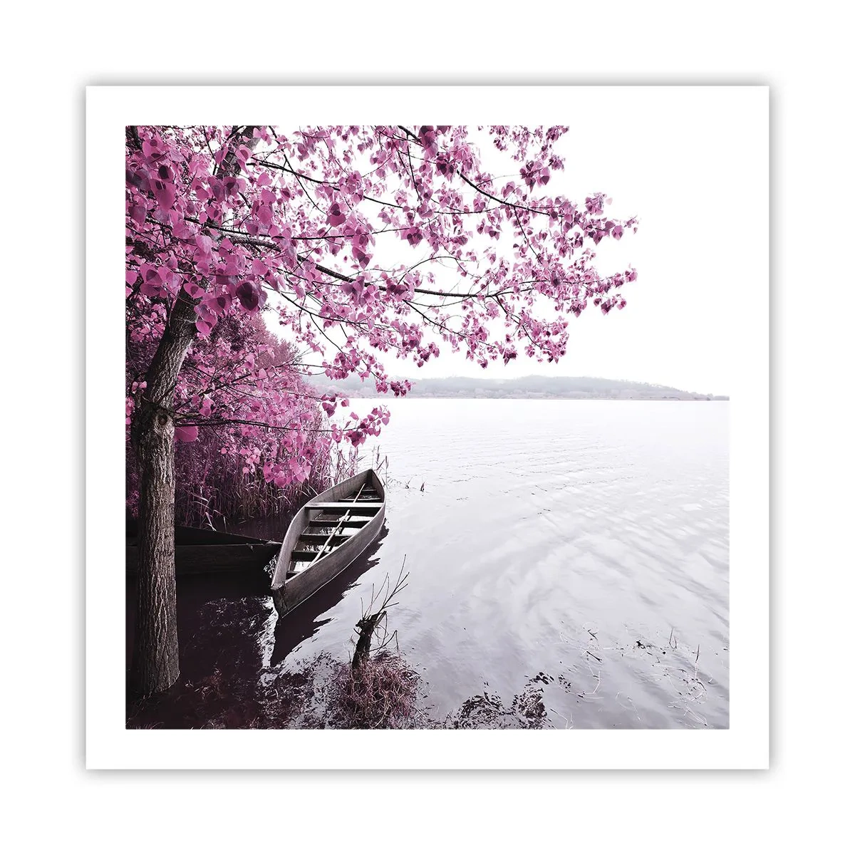 Affisch - I rosa tystnad - 60x60 cm