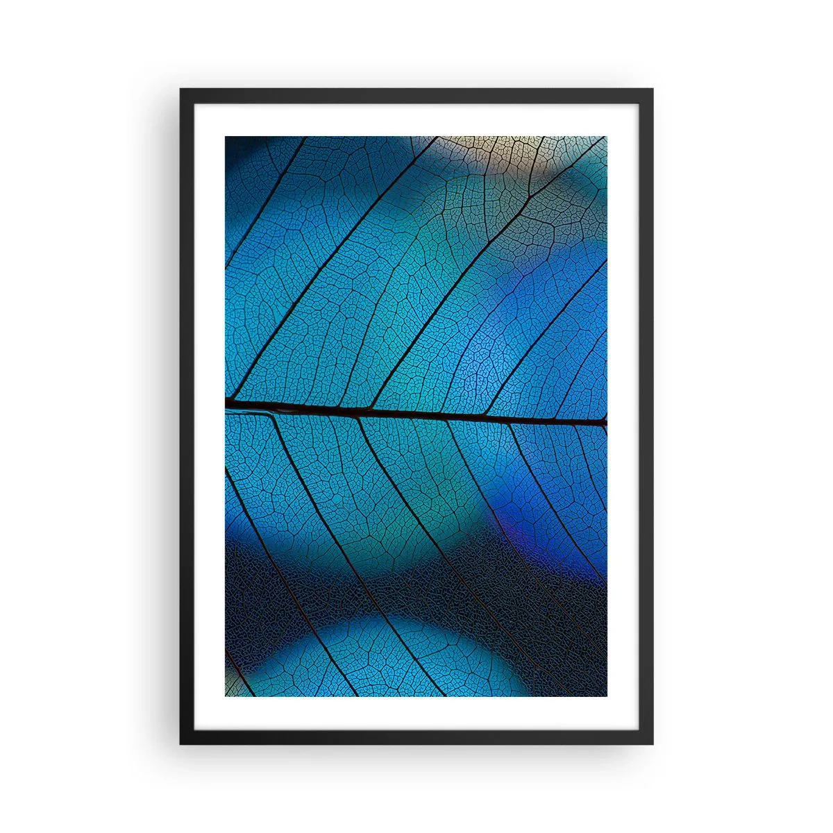 Affisch i svart ram - Närbild av ett blått blad med framträdande ådror - 50x70cm - Invecklad konstruktion - Modern väggdekoration för vardagsrum och sovrum ARTTOR