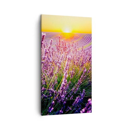 Canvastavla - Bild på duk - Doftande åkermark - 45x80 cm