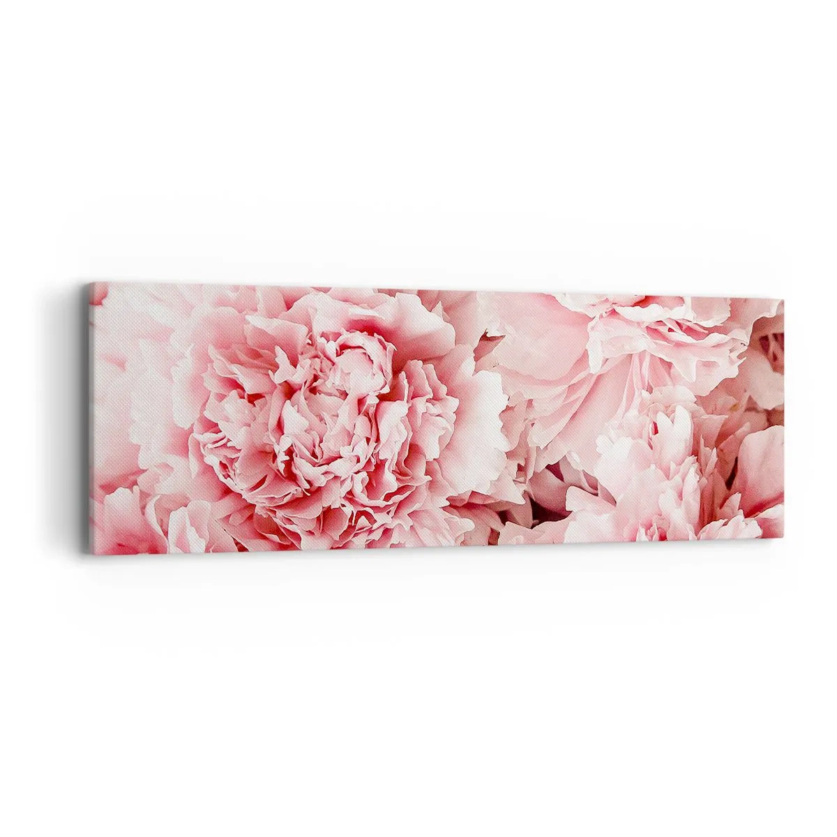Canvastavla - Bild på duk - Rosa dröm - 90x30 cm