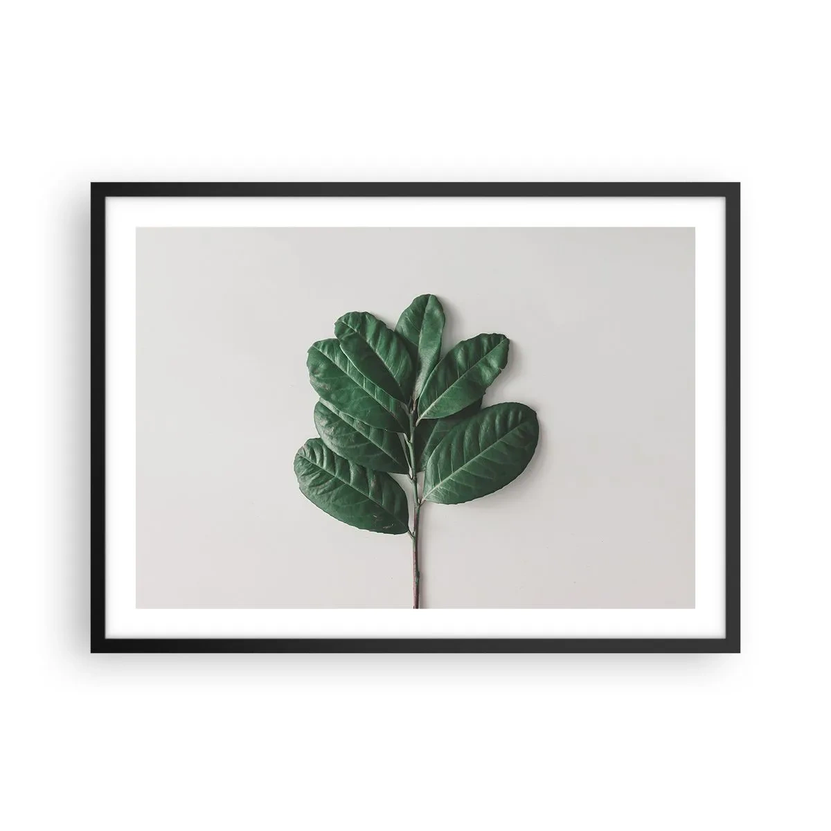 Affisch i svart ram - Själva naturens bild - 70x50 cm