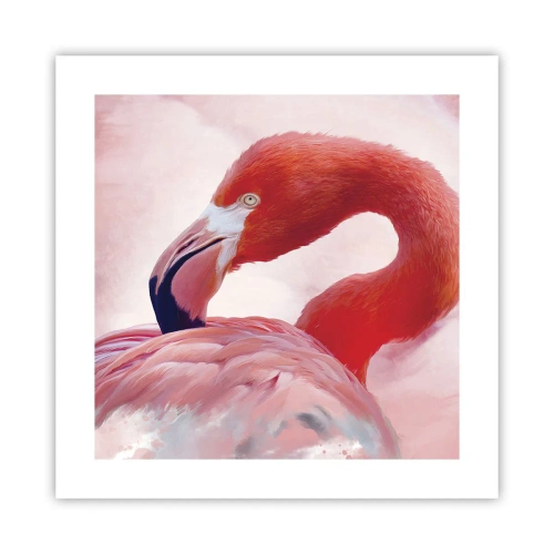 Affisch - Fågelns skönhet - 40x40 cm