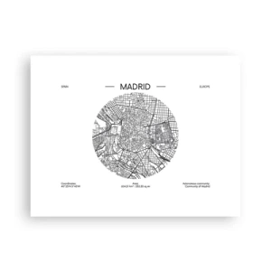 Affisch - Madrids anatomi - 40x30 cm