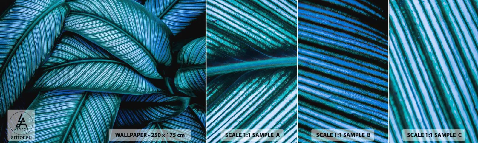 Fototapet Prov Standard Eco - Livslinjer - Löv, Botanik, Växter - 100x30 cm