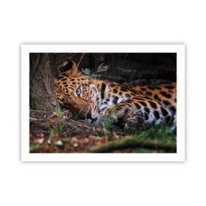 Affisch - Tro mig - 70x50 cm