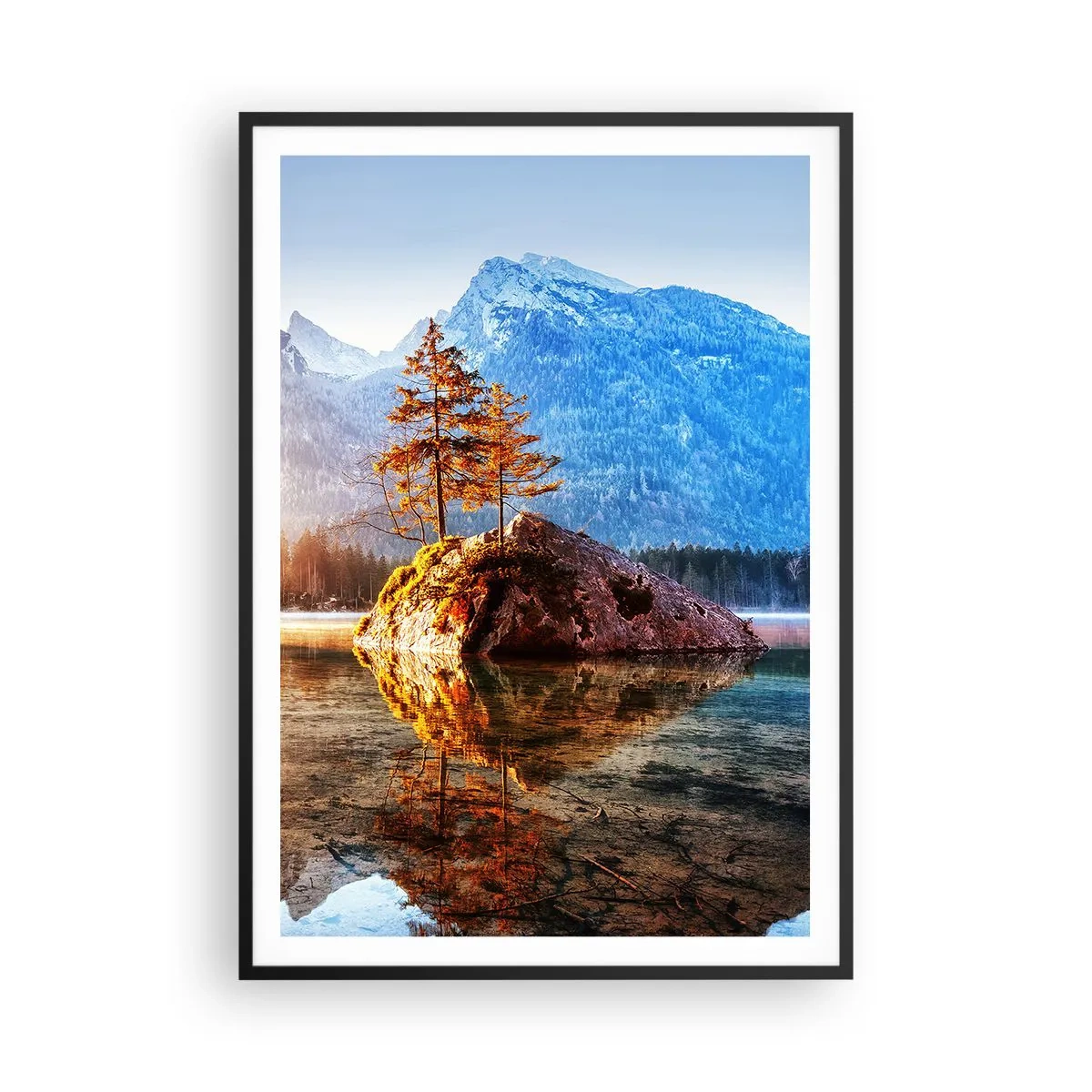 Affisch i svart ram - Naturen i ett nytt ljus - 70x100 cm