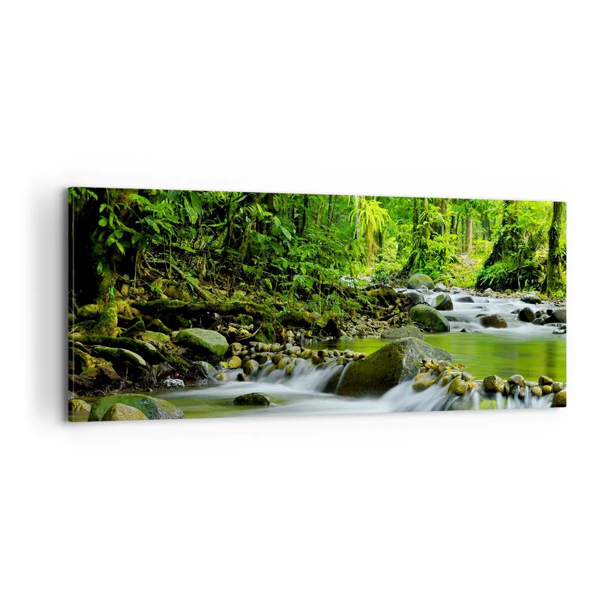 Canvastavla - Bild på duk - Simma i grönskans hav - 100x40 cm