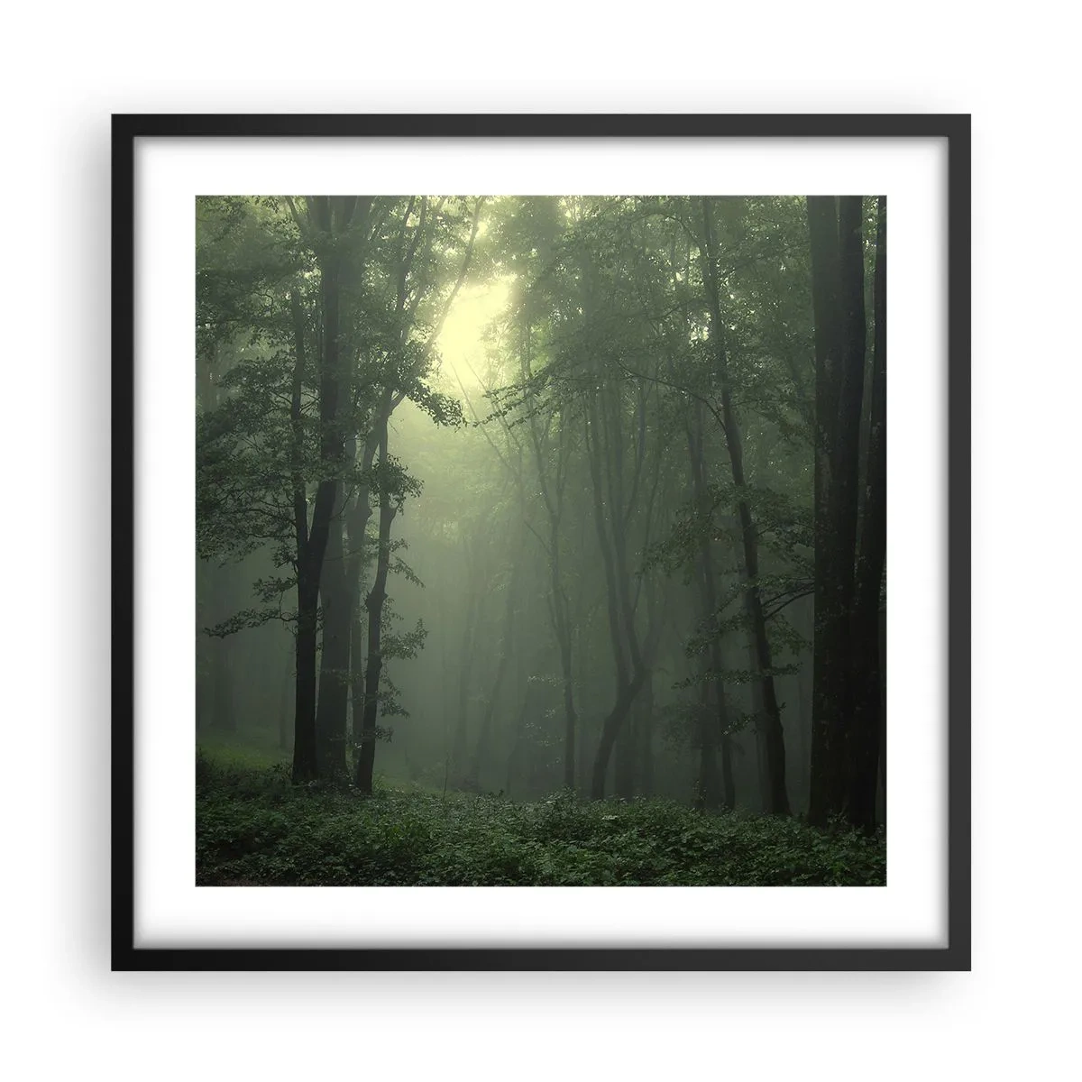 Affisch i svart ram - Innan skogen vaknar - 50x50 cm