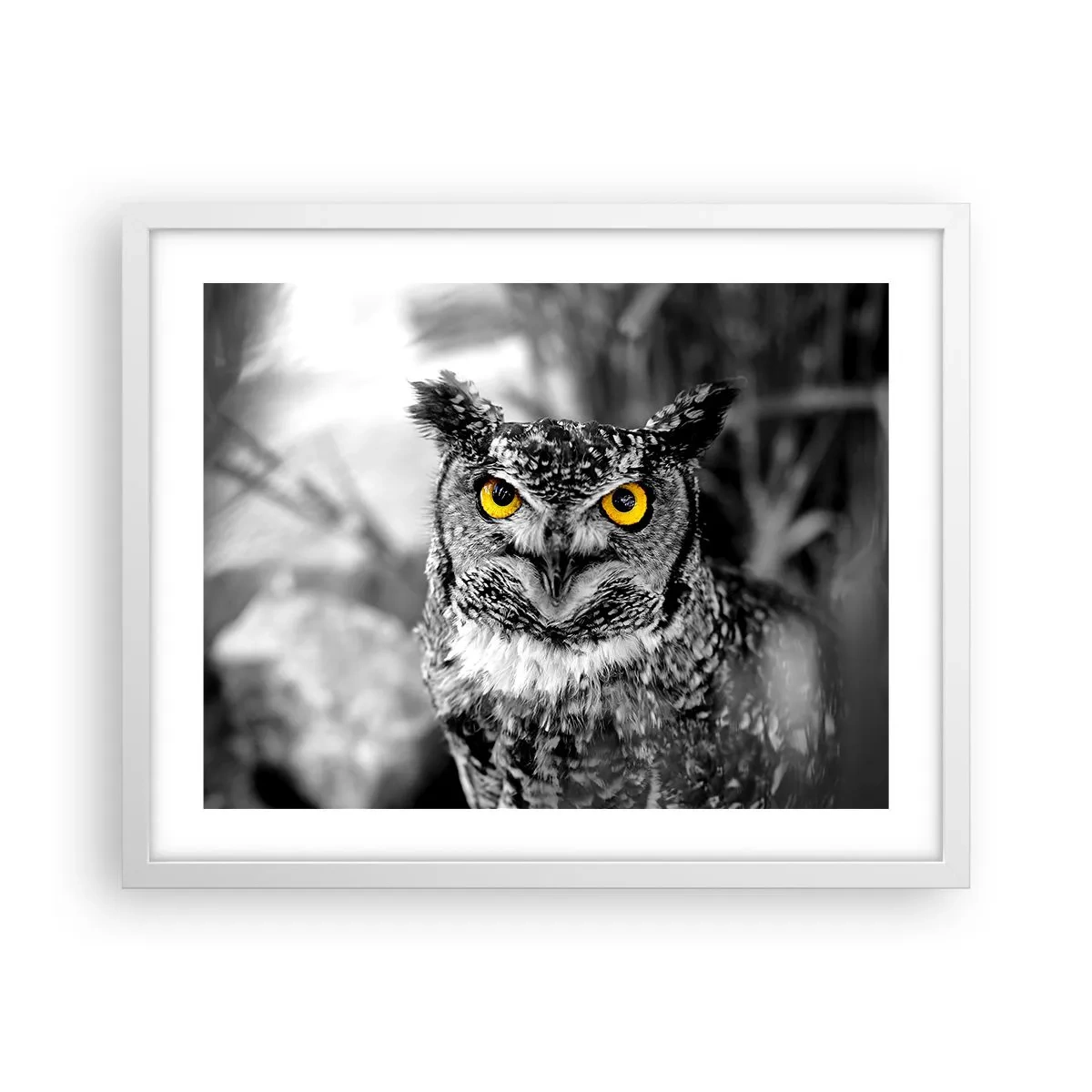 Affisch i vit ram - Inget kommer undan - 50x40 cm