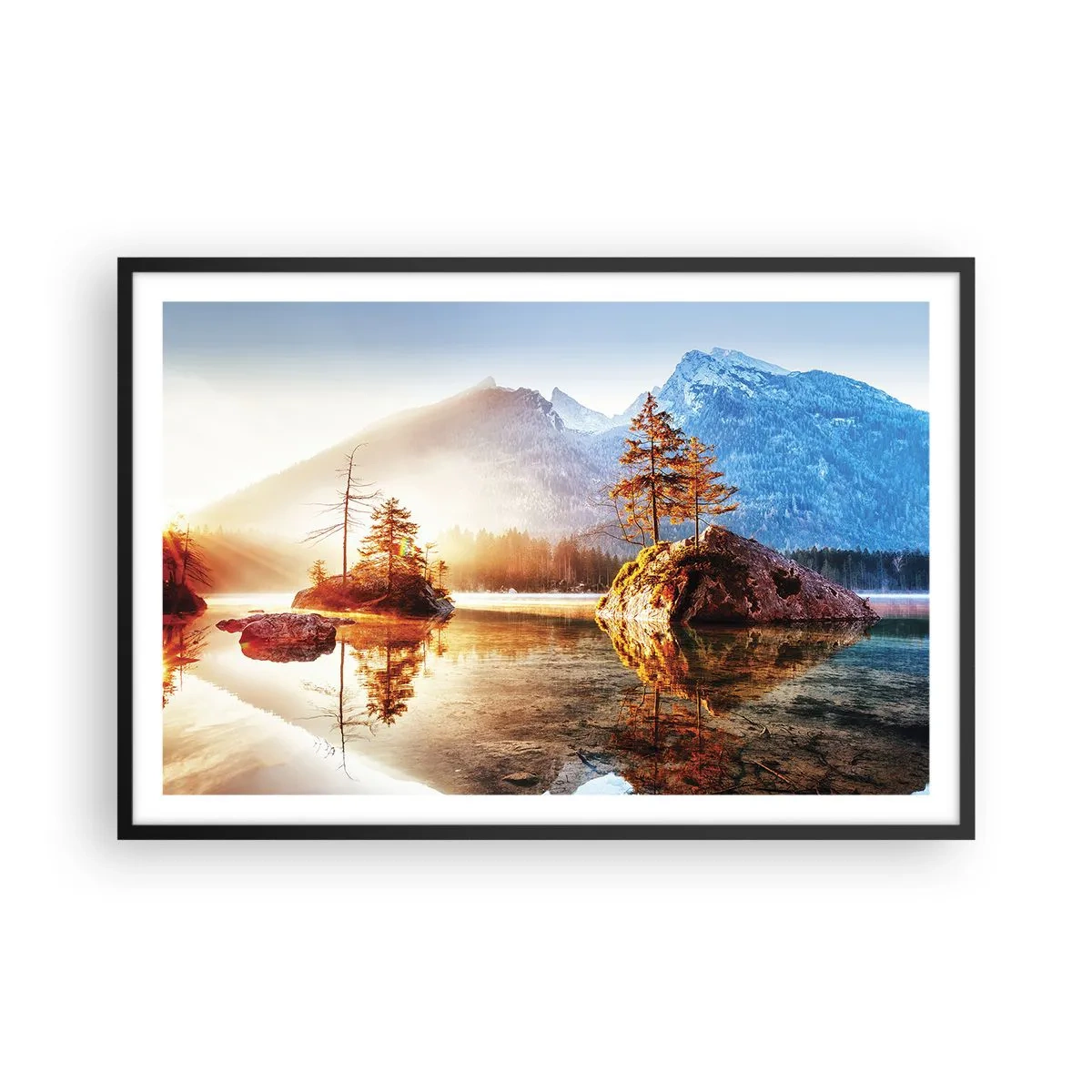 Affisch i svart ram - Naturen i ett nytt ljus - 91x61 cm