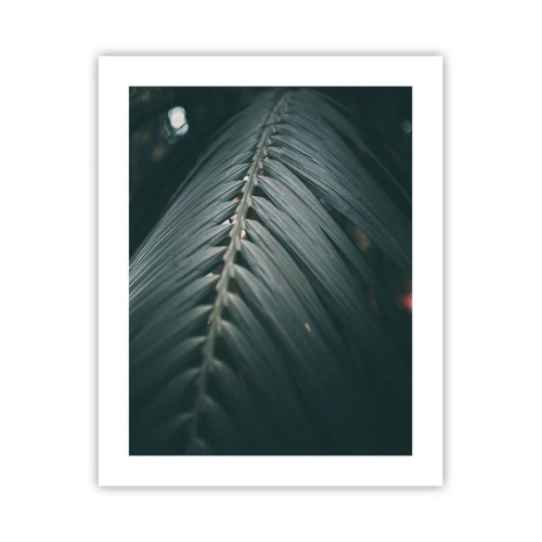 Affisch - Naturens precision - 40x50 cm