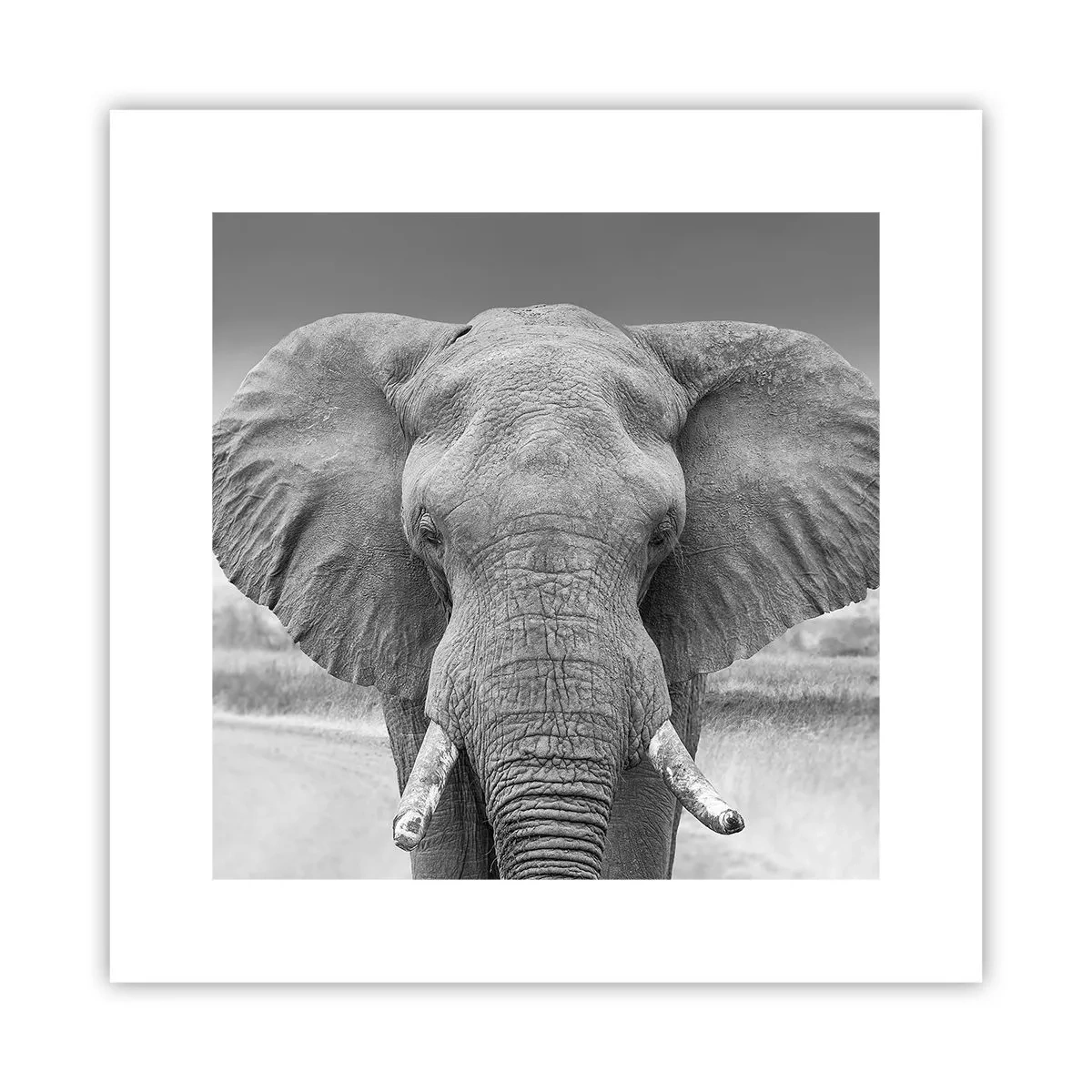 Affisch - Välkommen till min värld - 30x30 cm