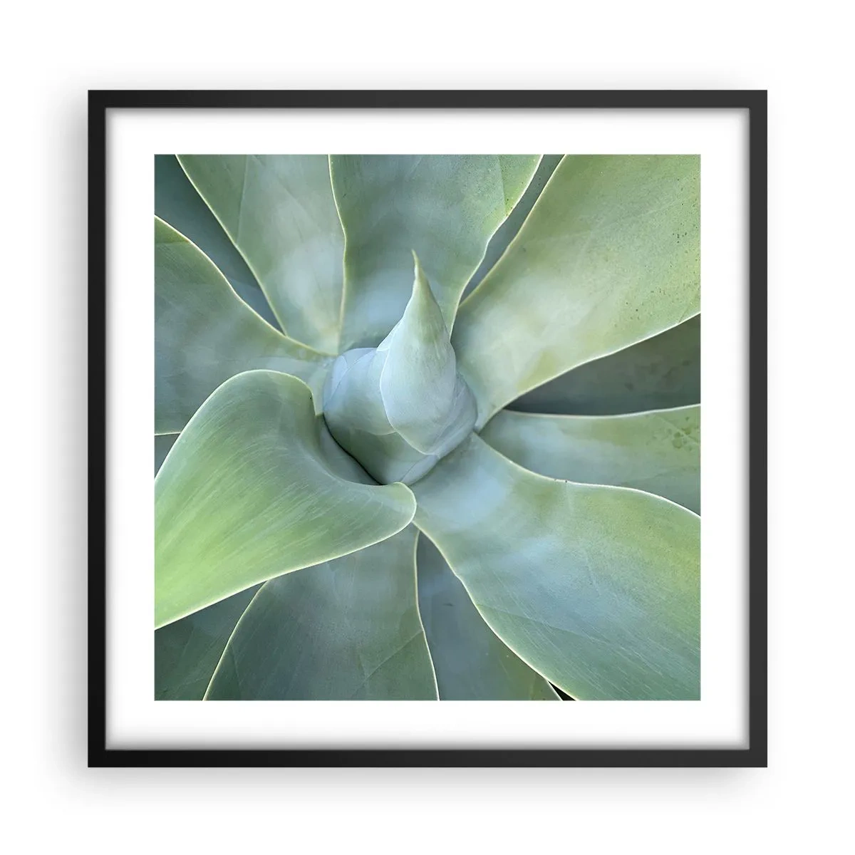 Affisch i svart ram - Det gröna föds - 50x50 cm