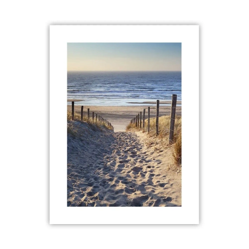 Affisch - Havets brus, fågelsång, tom strand bland träden - 30x40 cm