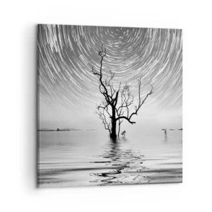 Canvastavla - Bild på duk - Naturens symfoni - 60x60 cm