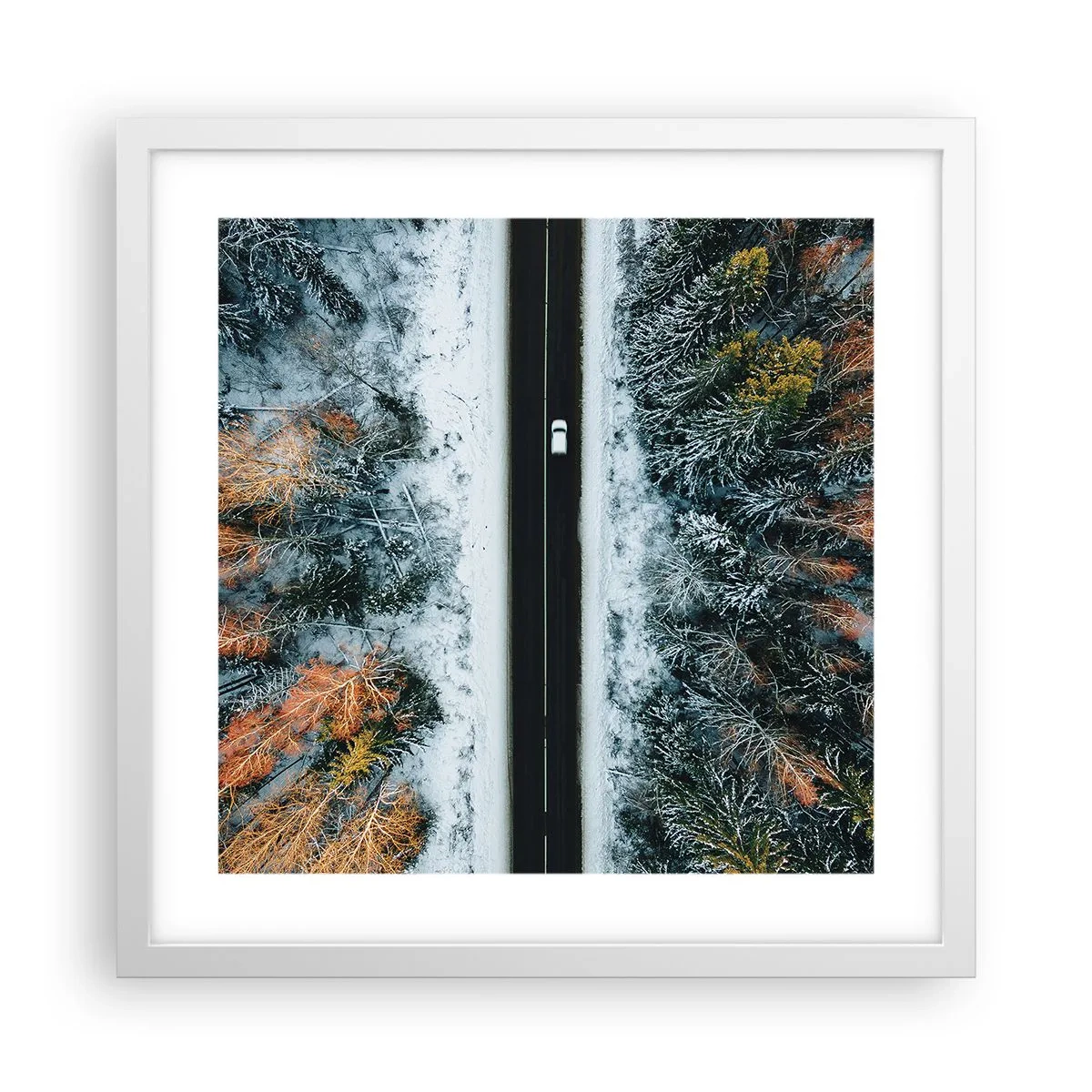 Affisch i vit ram - Genom vinterskogen - 40x40 cm