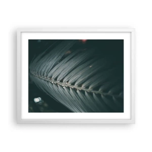 Affisch i vit ram - Naturens precision - 50x40 cm