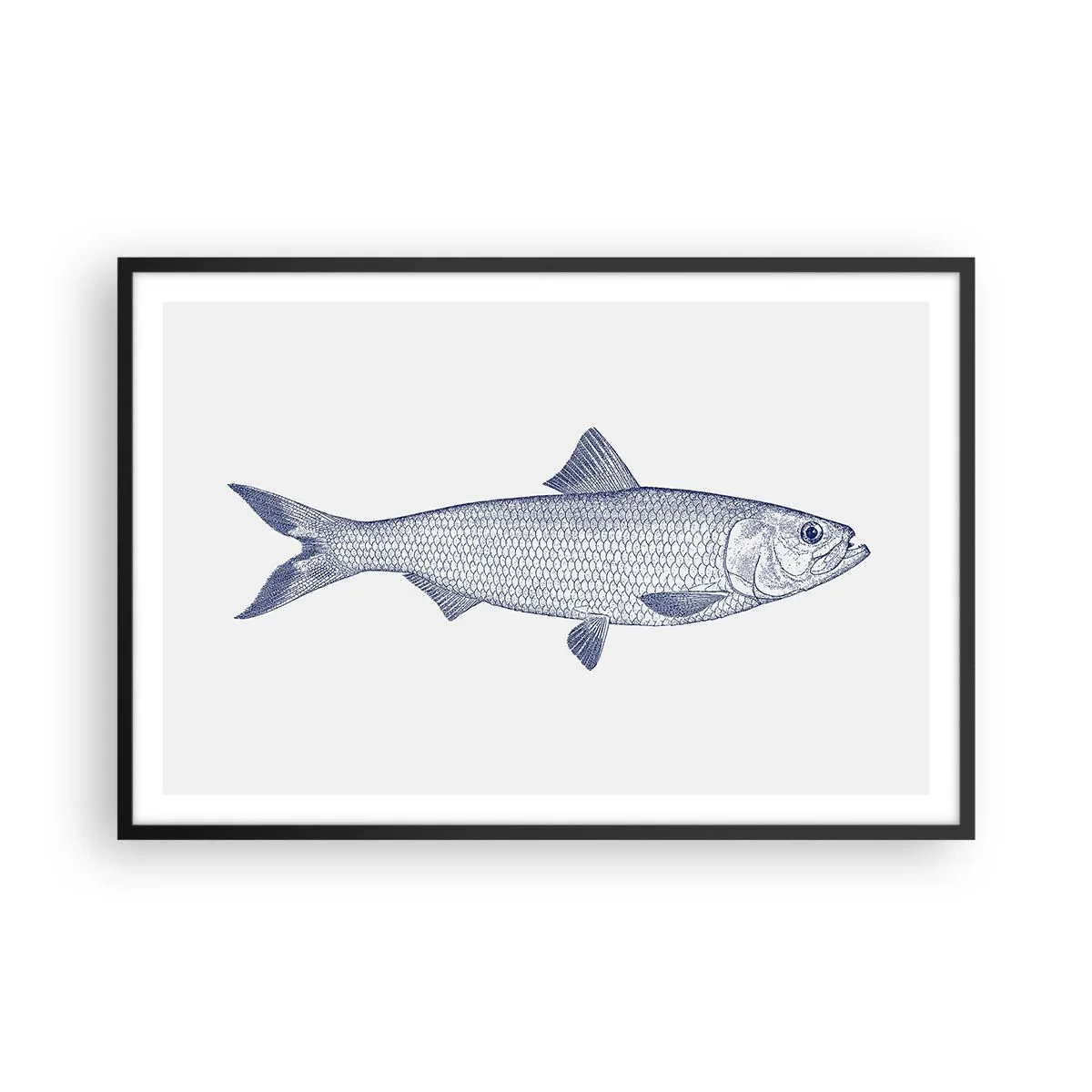 Affisch i svart ram - Hälsningar från de nordliga haven - 91x61 cm