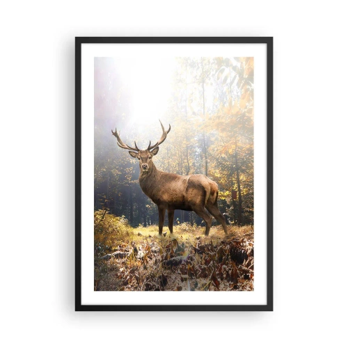 Affisch i svart ram - En hjort i en skog upplyst av solljus - 50x70cm - I fullt majestät - Modern väggdekoration för vardagsrum och sovrum ARTTOR