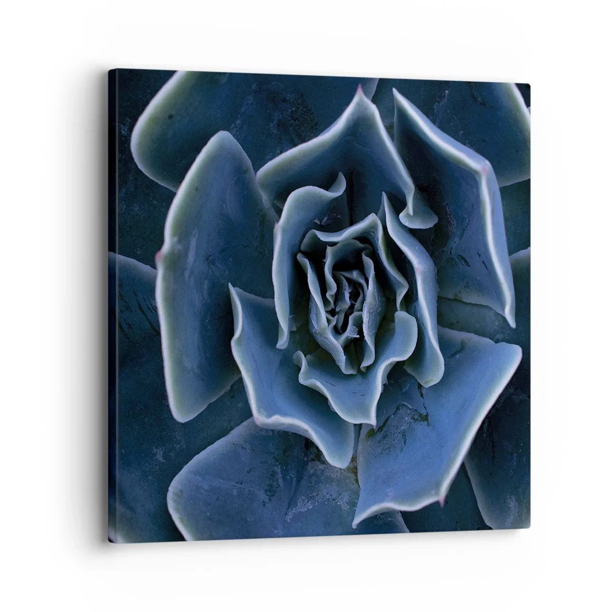 Canvastavla - Bild på duk - Öknens blomma - 30x30 cm