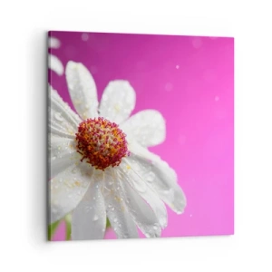 Canvastavla - Bild på duk - Sparsam i sin skönhet - 60x60 cm