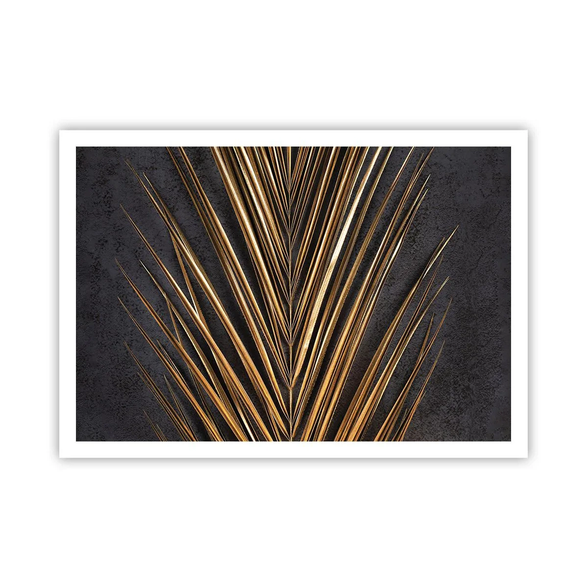 Affisch - Tropikens guld - 100x70 cm