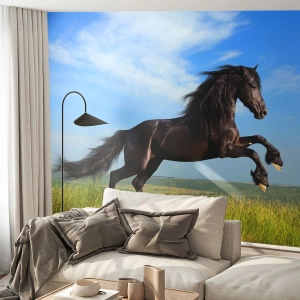 Självhäftande Fototapet Deluxe Sticker - Tagande frihetsmanifest - Djur, Häst, Landskap - 100x70 cm