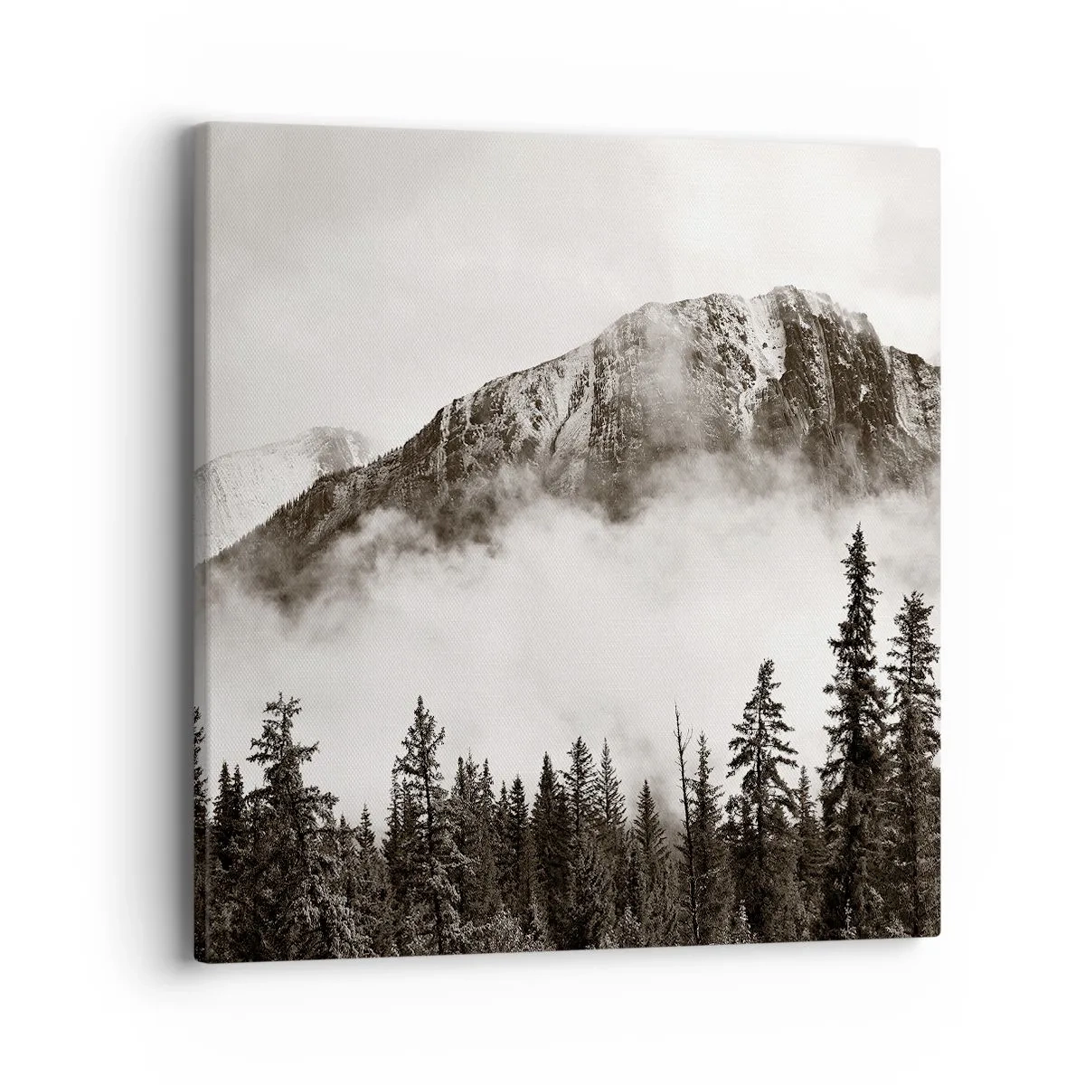 Canvastavla - Bild på duk - Granithärskare - 40x40 cm