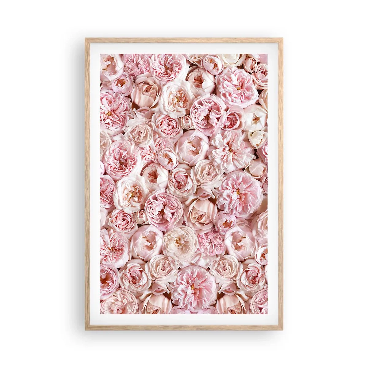 Affisch i ram av ljusek - Strödd med rosor - 61x91 cm