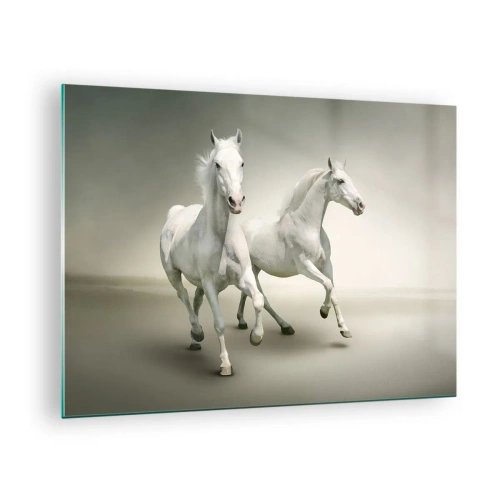Glastavla - Bild på glas - Två vita hästar som springer mot en ljus bakgrund - 70x50cm - White power! - Modern väggdekoration för vardagsrum och sovrum ARTTOR