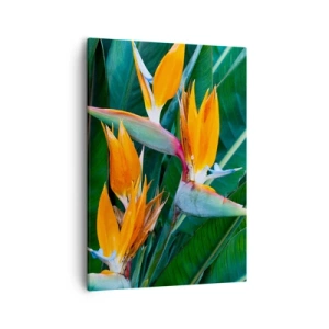Canvastavla - Bild på duk - Är det en blomma, eller en fågel? - 50x70 cm