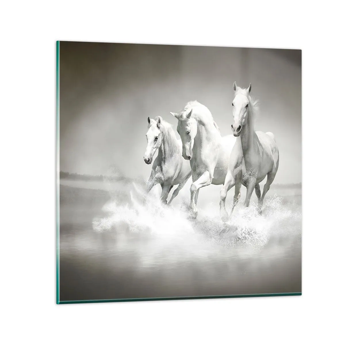 Glastavla - Bild på glas - Vit vildhet - 70x70 cm